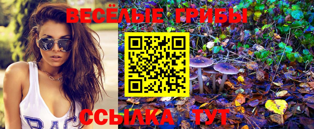Галлюциногенные грибы MAGIC MUSHROOMS Южноуральск